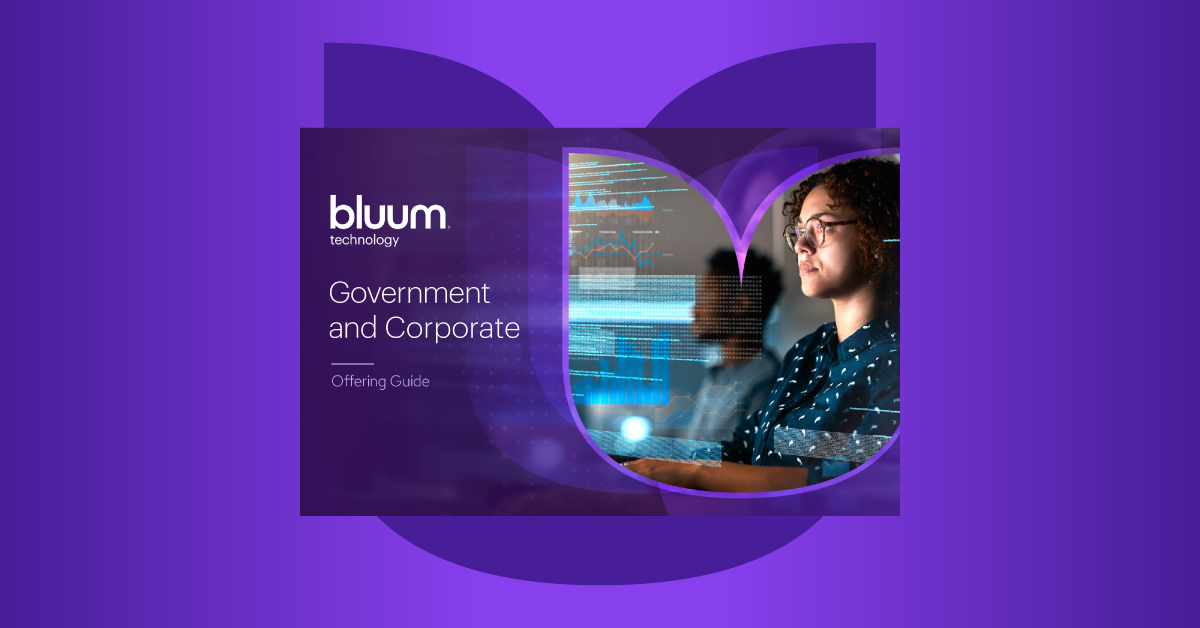 bluum technology government and corporate offering guide