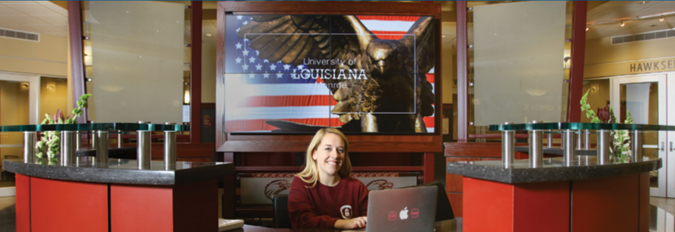 Person sitting at a desk with laptop